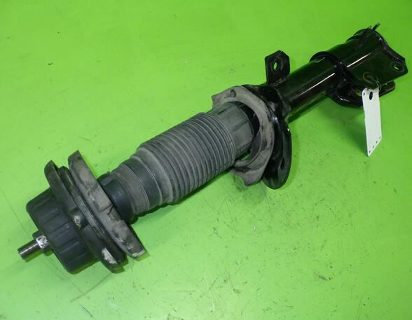 Shock Absorber FIAT Bravo II (198)