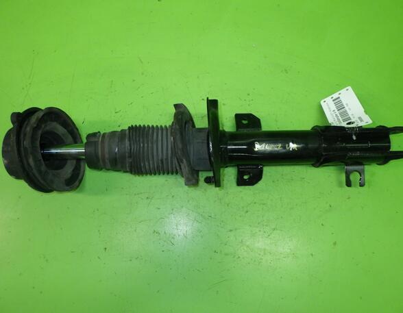 Shock Absorber FIAT Bravo II (198)