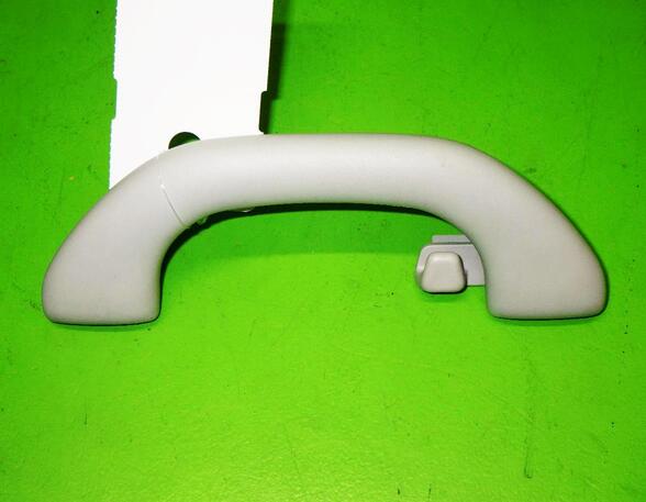 Grab Handle VW GOLF PLUS (5M1, 521)