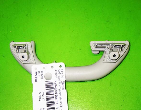 Grab Handle VW GOLF PLUS (5M1, 521)