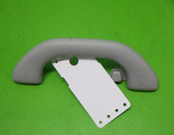 Grab Handle VW GOLF PLUS (5M1, 521)