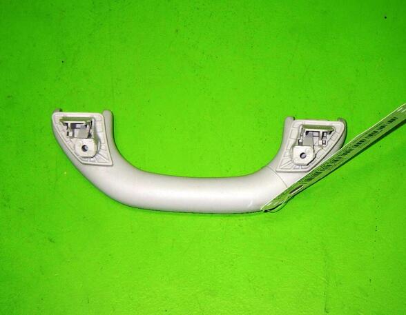 Grab Handle VW GOLF PLUS (5M1, 521)