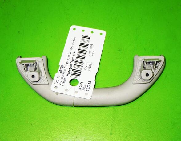 Grab Handle VW GOLF PLUS (5M1, 521)