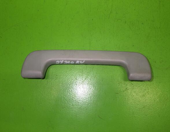 Grab Handle AUDI A6 Avant (4B5, C5), AUDI ALLROAD (4BH, C5)