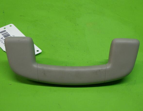 Grab Handle VW GOLF VII (5G1, BQ1, BE1, BE2)