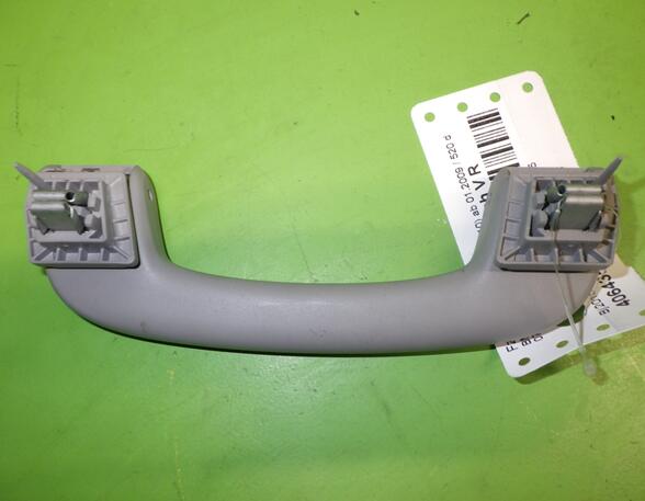 Grab Handle BMW 5 (F10)