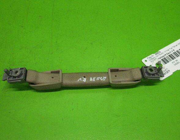 Grab Handle NISSAN X-TRAIL I (T30)