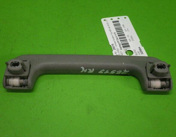 Grab Handle AUDI A6 Avant (4B5, C5), AUDI ALLROAD (4BH, C5)