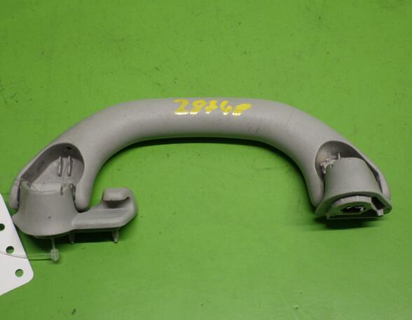 Grab Handle VW POLO (9N_)