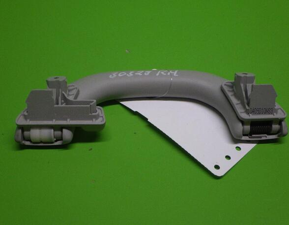 Grab Handle VW TIGUAN (5N_)