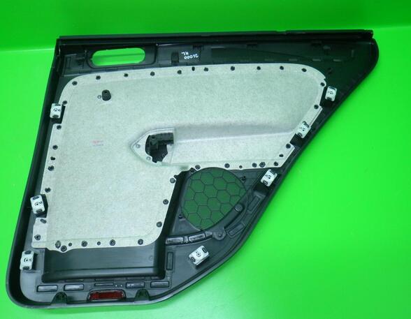 Door Card (Door Panel) VW GOLF PLUS (5M1, 521)