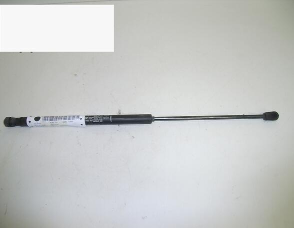 Gas Spring FIAT Stilo (192)