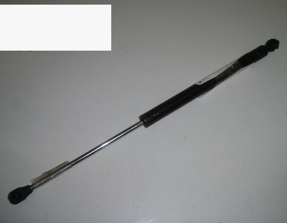 Gas Spring RENAULT Twingo I (C06)