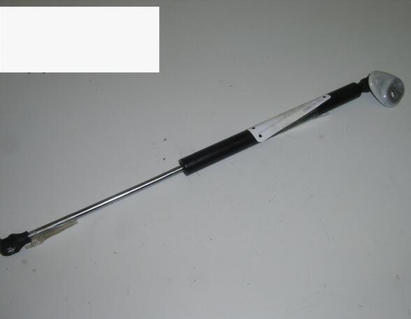 Gas Spring RENAULT Twingo I (C06)