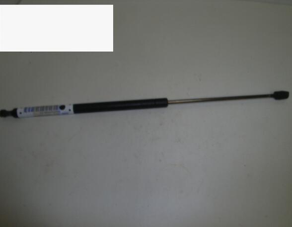 Gas Spring ROVER 800 (XS)