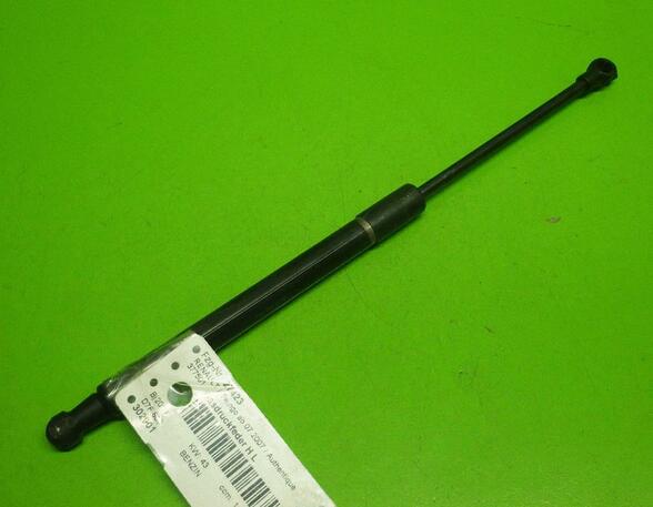 Gas Spring RENAULT Twingo II (CN0)