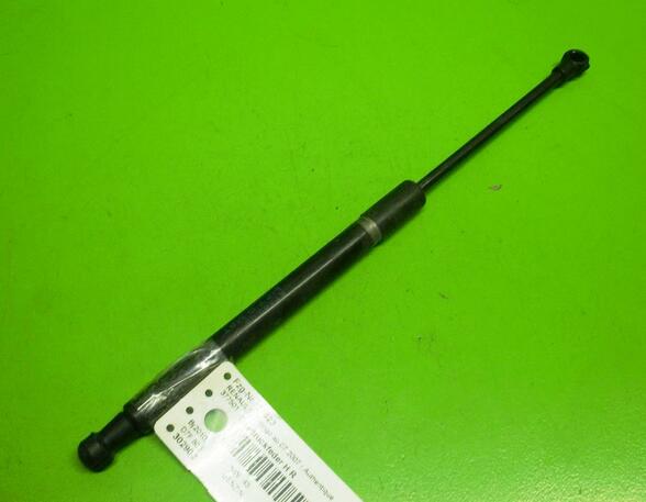 Gas Spring RENAULT Twingo II (CN0)