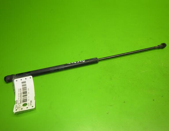 Gas Spring SEAT Leon (1M1)