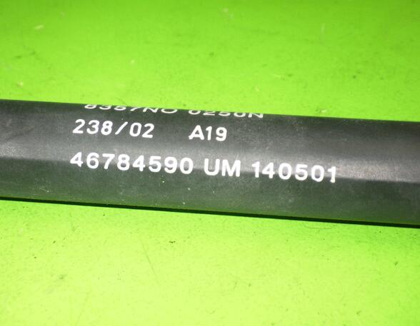 Gas Spring FIAT STILO (192_)