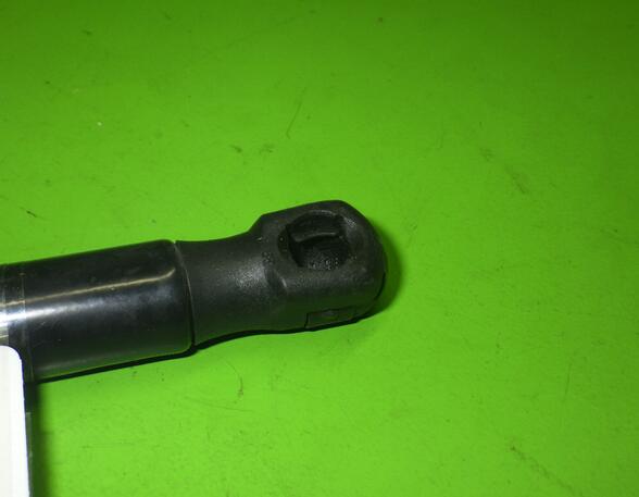 Gas Spring SKODA SCALA (NW1)