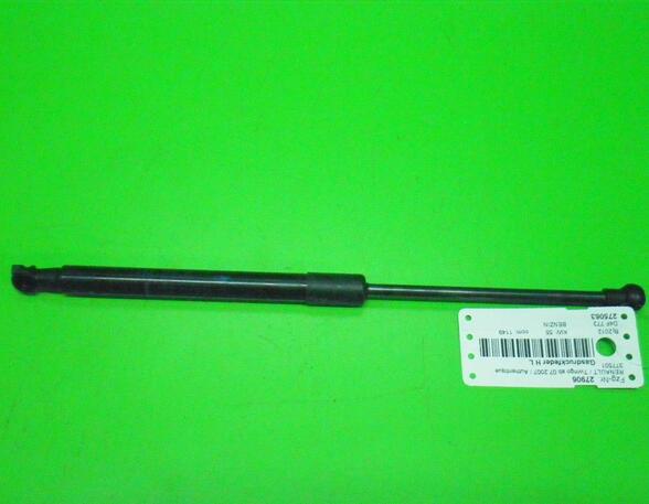 Gas Spring RENAULT TWINGO II (CN0_)