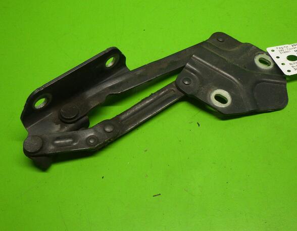 Bonnet Hinge VW Touran (1T1, 1T2)