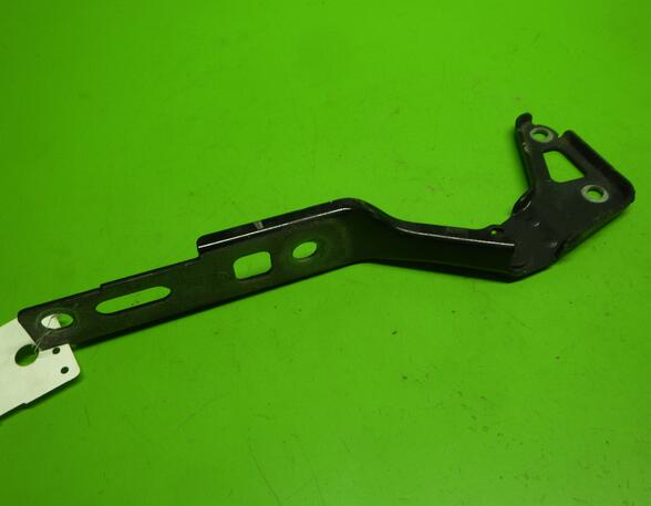 Bonnet Hinge AUDI Q7 (4LB)