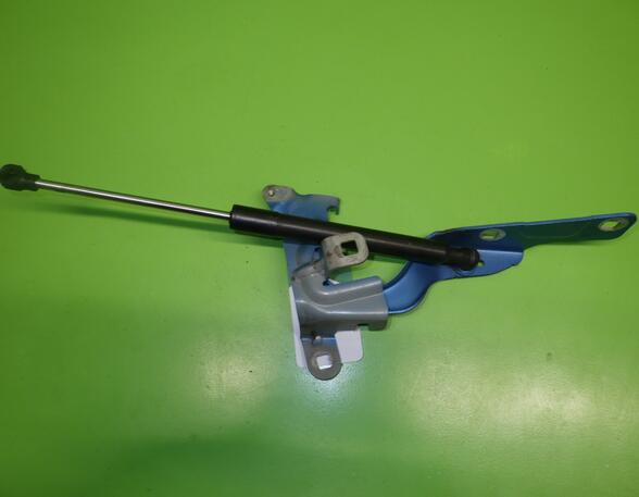 Bonnet Hinge RENAULT CAPTUR I (J5_, H5_), RENAULT CLIO IV (BH_)