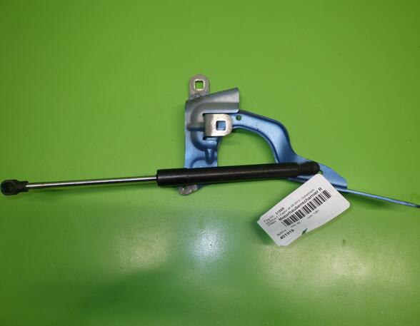 Bonnet Hinge RENAULT CAPTUR I (J5_, H5_), RENAULT CLIO IV (BH_)