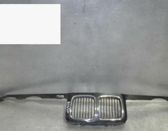 Radiator Grille BMW 5er (E34)