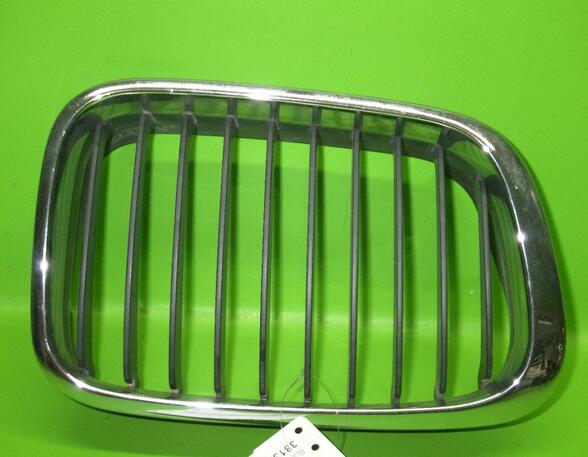 Radiator Grille BMW 3er Compact (E46)