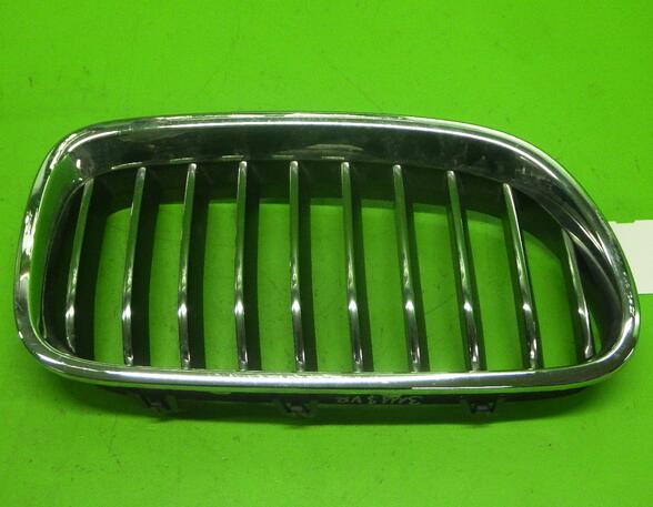 Radiateurgrille BMW 5 Touring (F11)