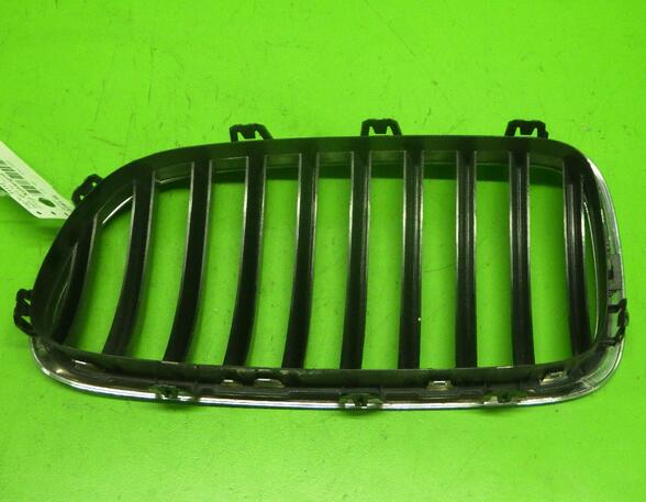 Radiateurgrille BMW 5 Touring (F11)