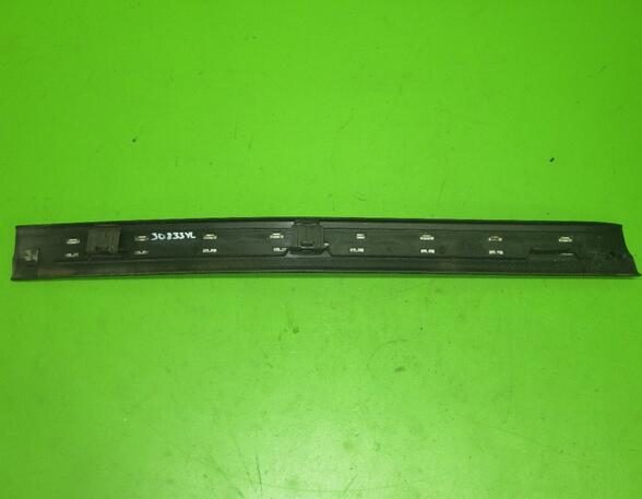 Trim Strip Sidewall MERCEDES-BENZ A-Klasse (W169)