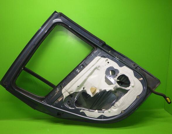 Door RENAULT Clio III (BR0/1, CR0/1)