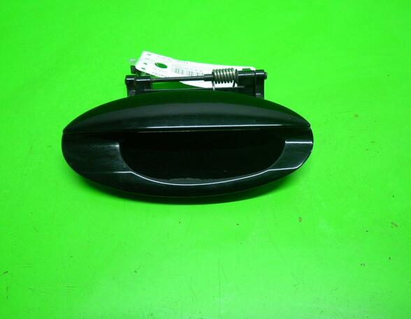 Door Handle JAGUAR X-Type (CF1)