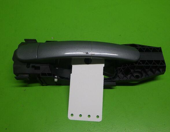 Door Handle VW Tiguan (5N)