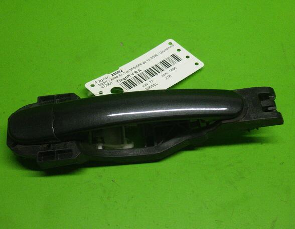 Door Handle SEAT Altea (5P1), SEAT Altea XL (5P5, 5P8), SEAT Toledo III (5P2)