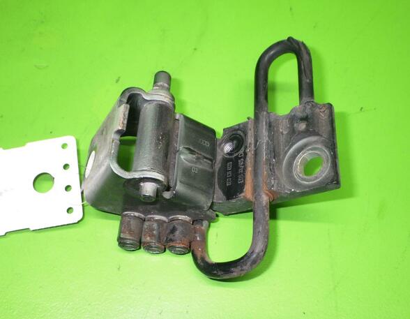 Door Hinge AUDI A4 (8EC, B7)