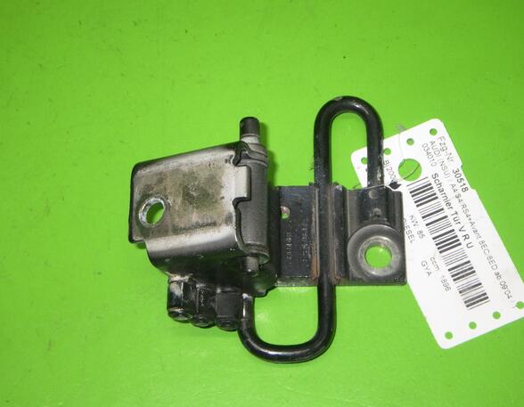 Door Hinge AUDI A4 Avant (8ED, B7)