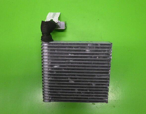 Air Conditioning Evaporator RENAULT Twingo II (CN0)