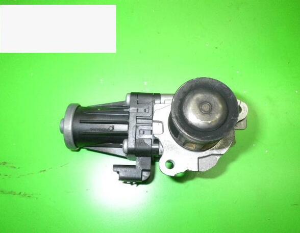 EGR Valve PEUGEOT 206+ (2L_, 2M_), FORD FIESTA VI (CB1, CCN)