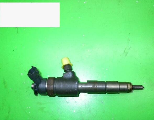 Injector Nozzle FORD Fiesta VI (CB1, CCN), PEUGEOT 206+ (2L, 2M)