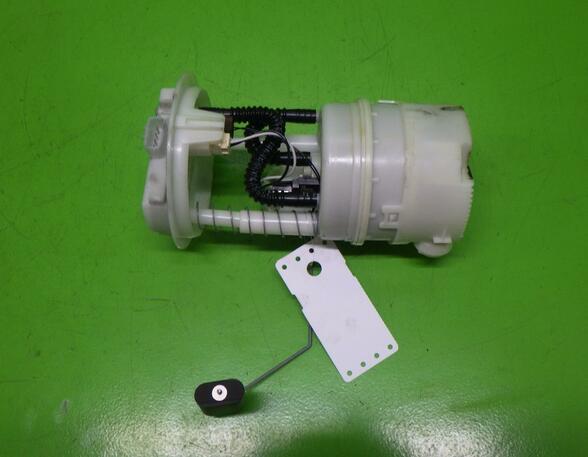 Fuel Pump RENAULT Clio III (BR0/1, CR0/1), RENAULT Clio IV (BH)