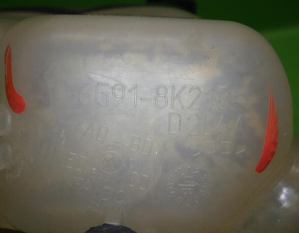 Coolant Expansion Tank FORD GALAXY (WA6), FORD S-MAX (WA6)