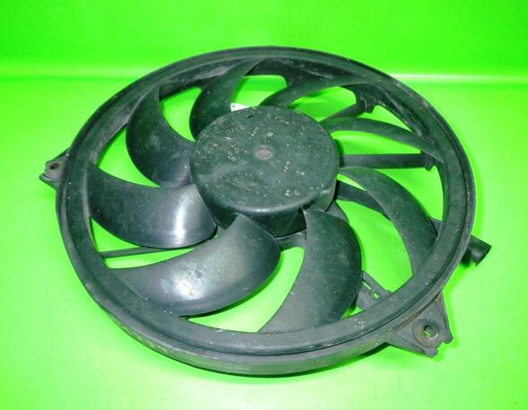 Radiator Electric Fan  Motor PEUGEOT 206 Schrägheck (2A/C)