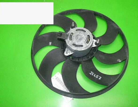 Radiator Electric Fan  Motor OPEL Corsa D (S07)