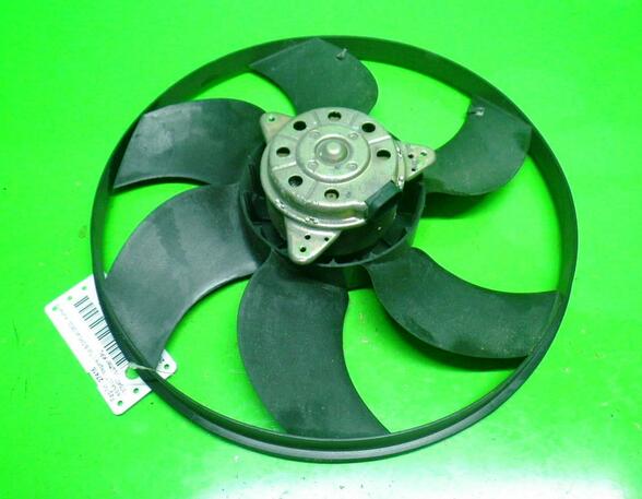 Radiator Electric Fan  Motor RENAULT Megane II (BM0/1, CM0/1)