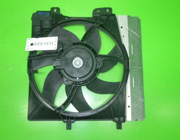 Radiator Electric Fan  Motor PEUGEOT 207 (WA, WC)