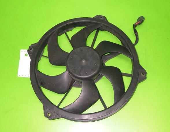 Radiator Electric Fan  Motor CITROËN C4 Grand Picasso I (UA), CITROËN C4 Picasso I Großraumlimousine (UD)